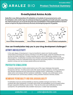 N-methyl tech summary-01