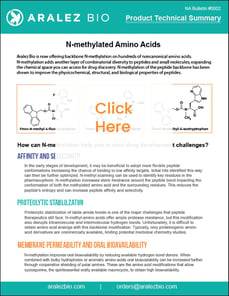 N-methyl tech summary-click-01